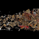 The scattered contents of the coffin.